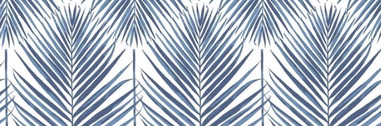 Susan Schmidt banner
