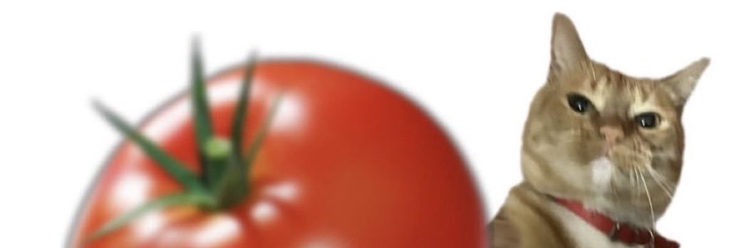 disgrasssaaa's profile banner image
