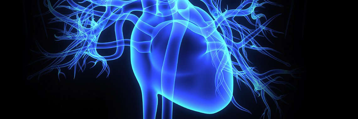 Maria Hazel Cohan, DNP, AGACNP-BC, AACC banner