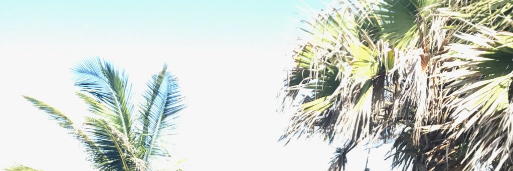 _princessashash's profile banner image
