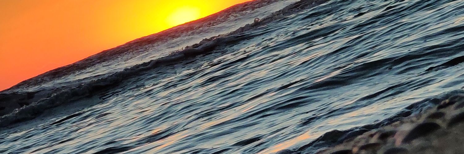 sebiiolea's profile banner image
