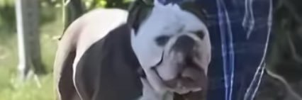 Toomitox's profile banner image