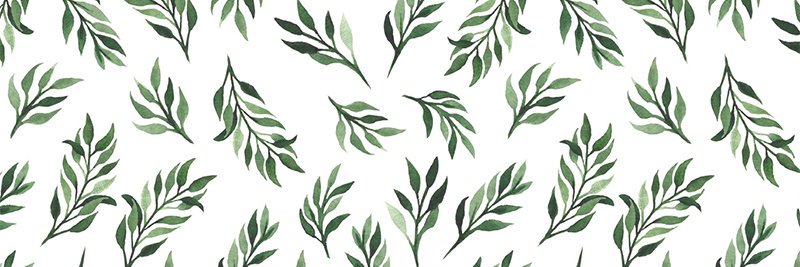 DaisyLucas_'s profile banner image
