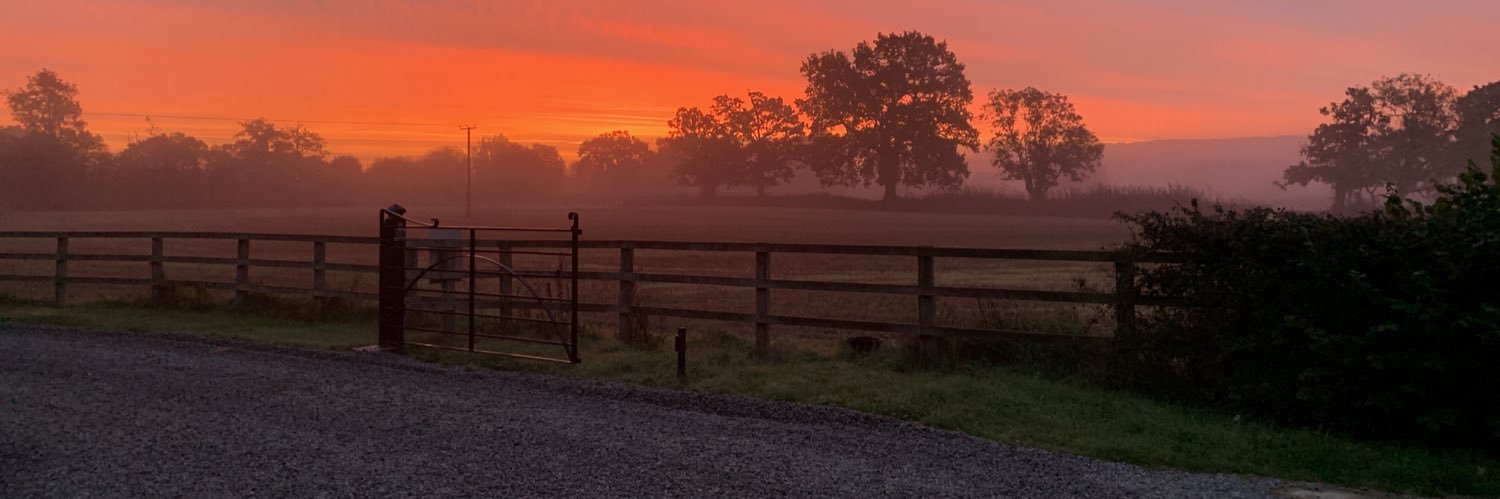 LauraGrey1's profile banner image