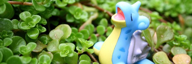 sheltuss's profile banner image