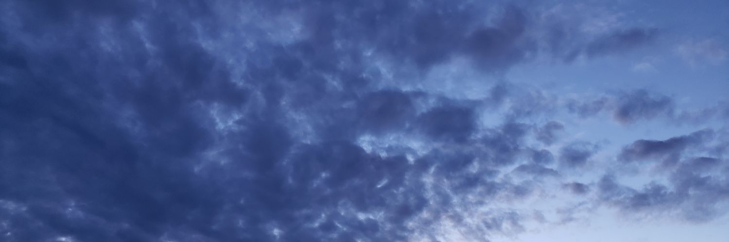 Richard Ventura banner