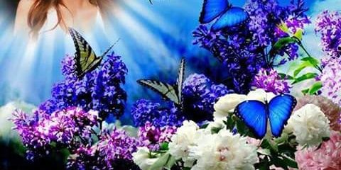 LaEsencia's profile banner image