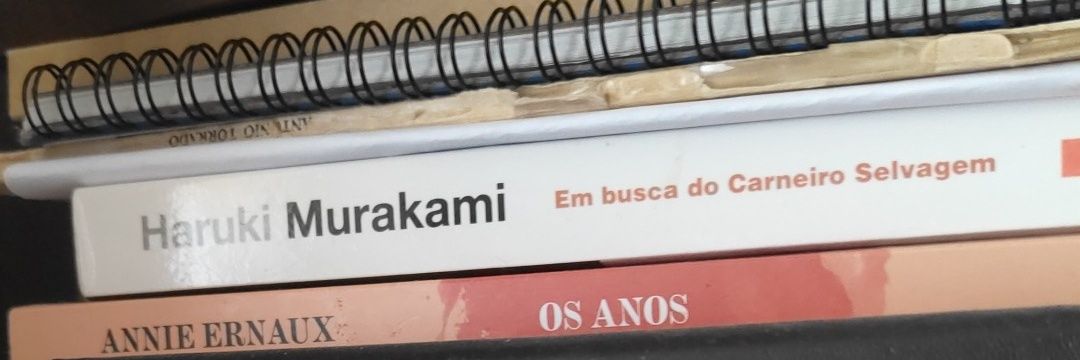 maria amaral banner