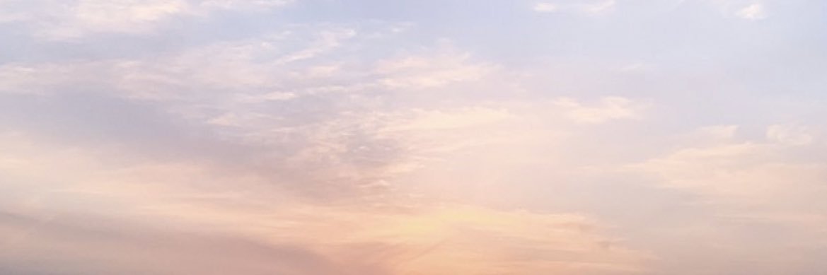 g_nennke's profile banner image