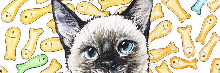 Ponduii's profile banner image