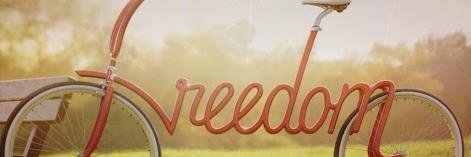 ArefMajidi786's profile banner image