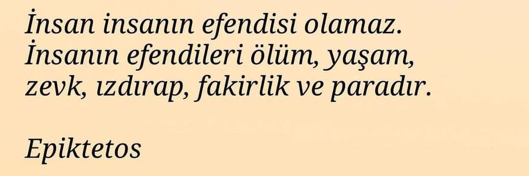 POTİFAR 🐦 banner