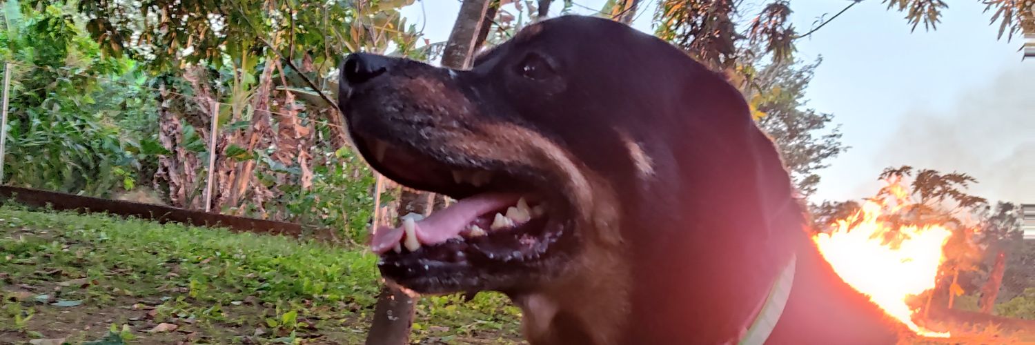 jlarabam's profile banner image