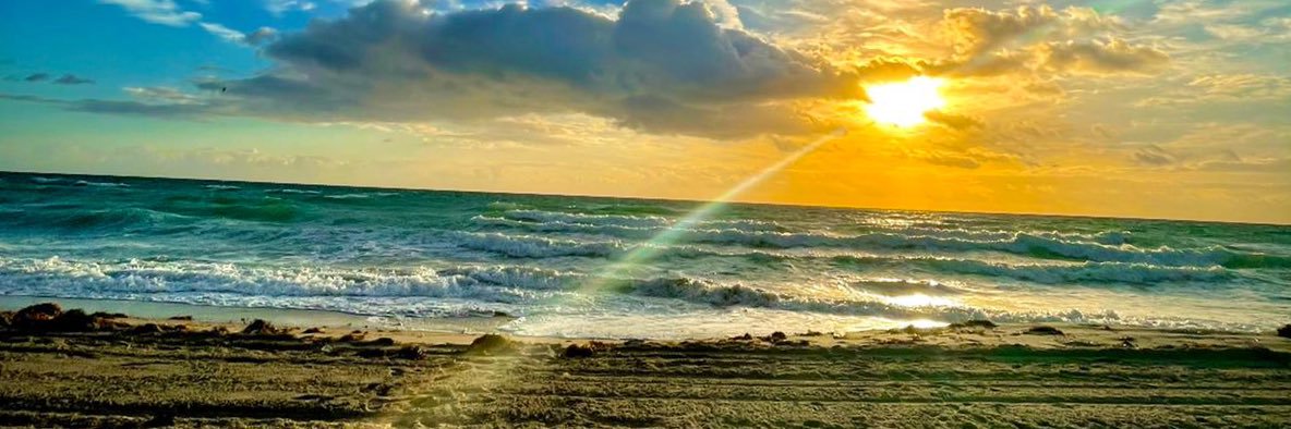 nandi_17's profile banner image