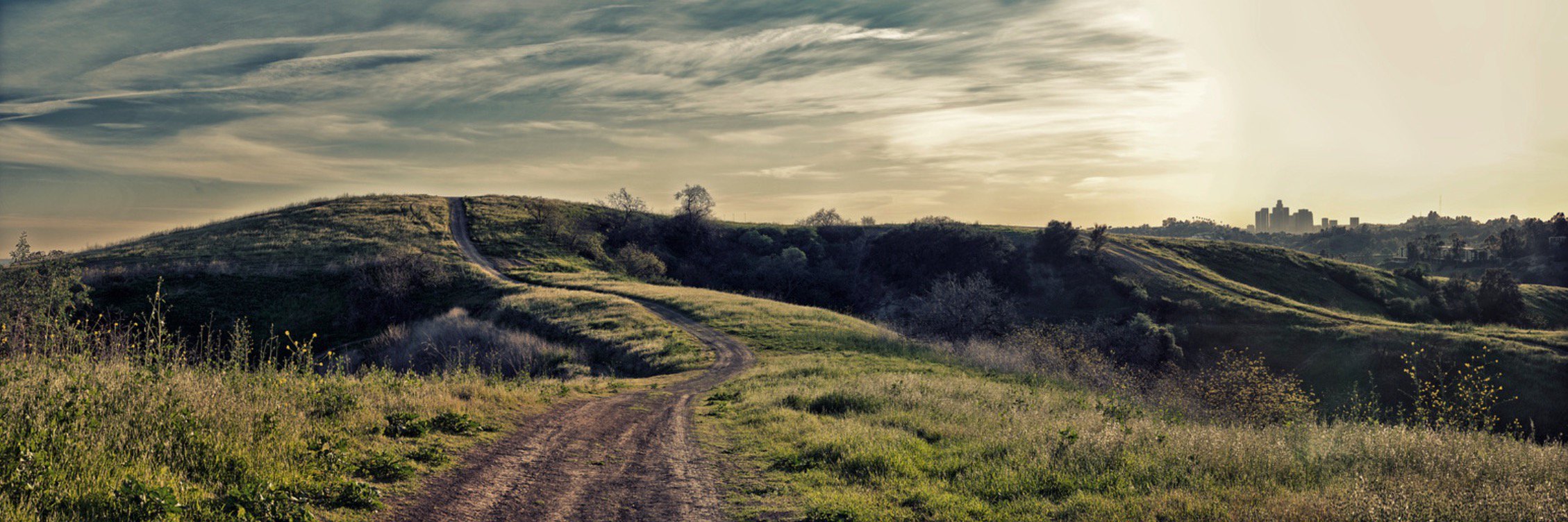 AnthonyNittle's profile banner image