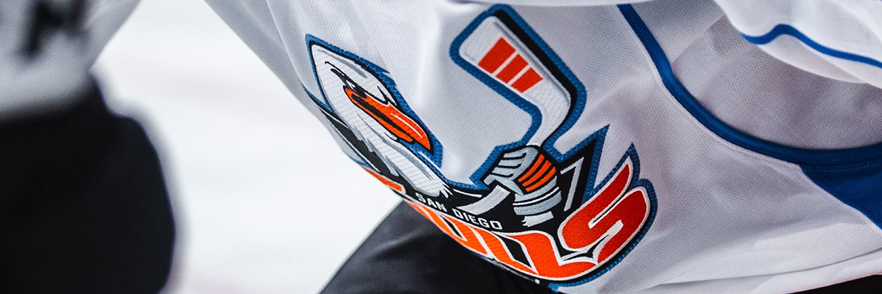 San Diego Gulls's banner