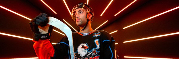 SDGullsAHL Profile Banner