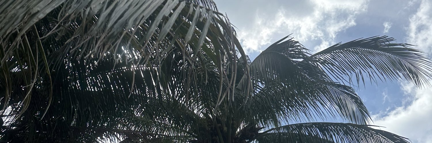 srslyli's profile banner image