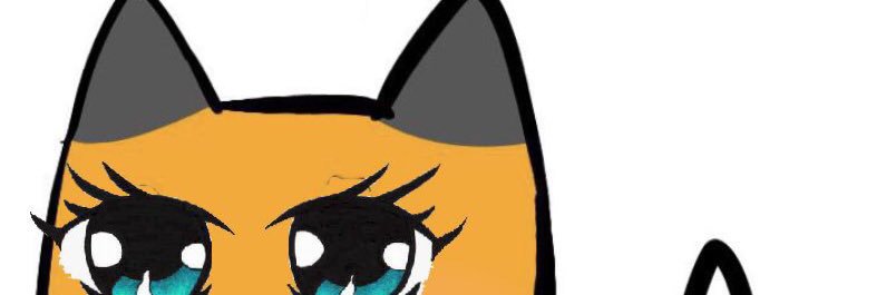 UAEFOX671's profile banner image