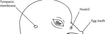 polindsay's profile banner image