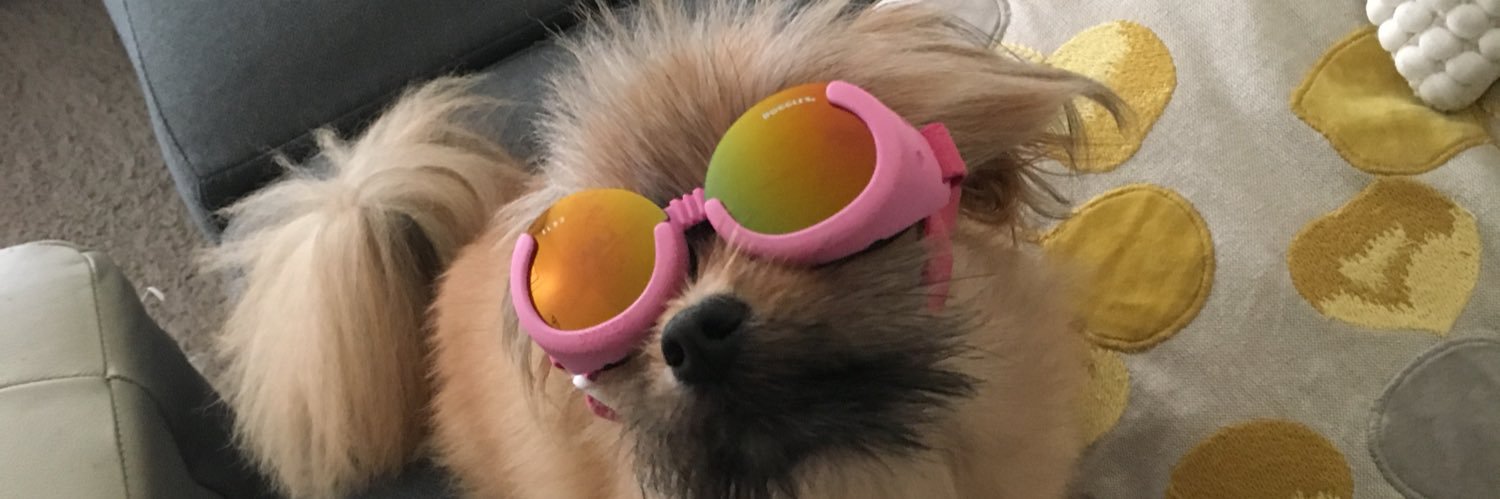 AllTheGreatest1's profile banner image