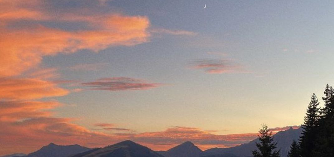 cryptocounci_8's profile banner image