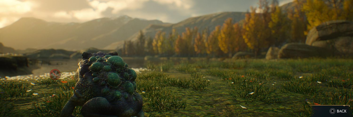 BornOfSithis's profile banner image