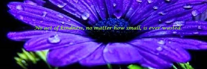 MishSchoenecker's profile banner image