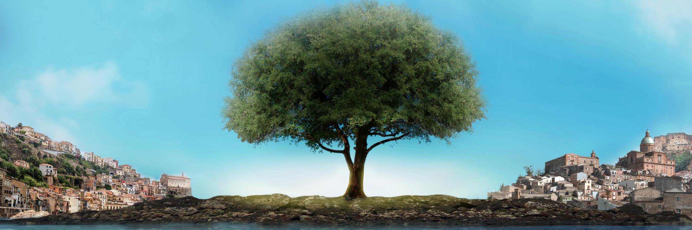 LeavesoftheTree's profile banner image