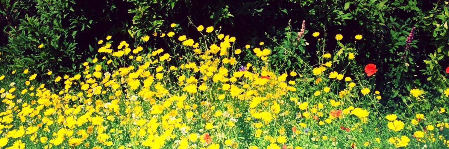 ambietalks's profile banner image