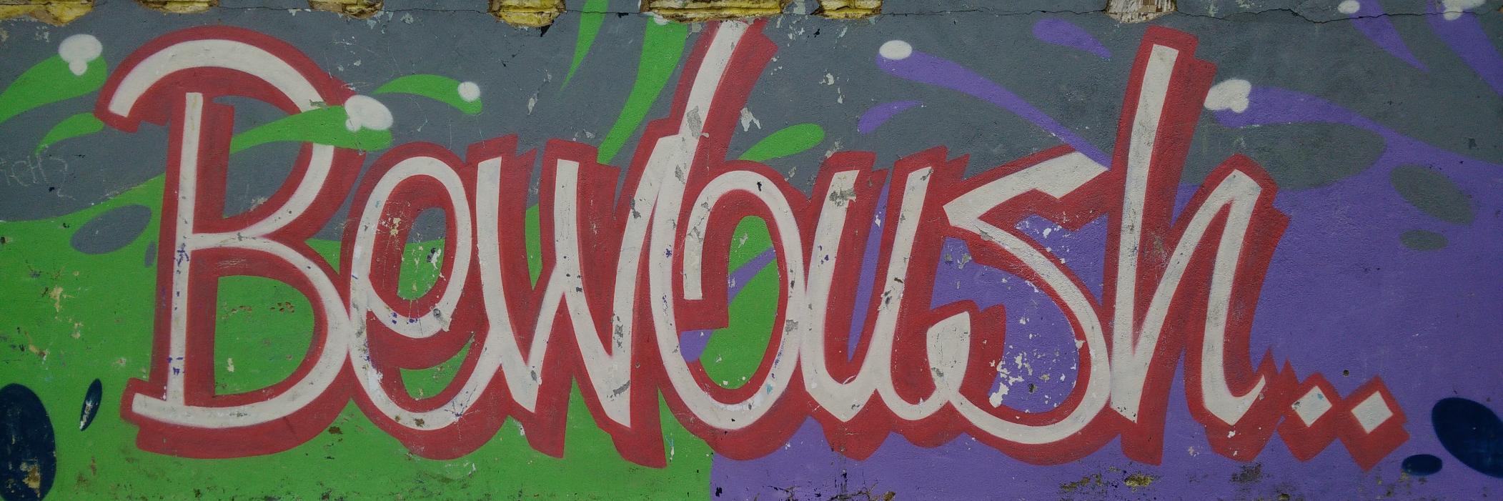 TalkBewbush's profile banner image