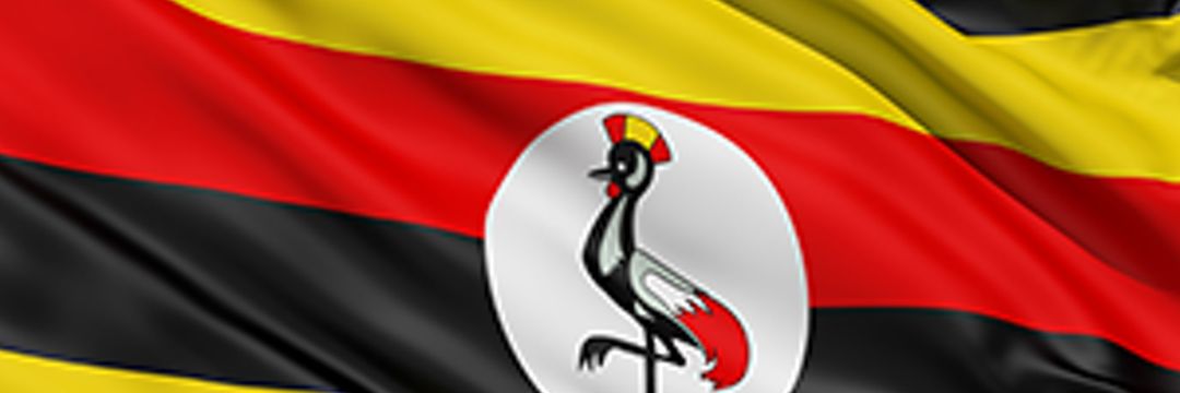 KaggwaImuran's profile banner image