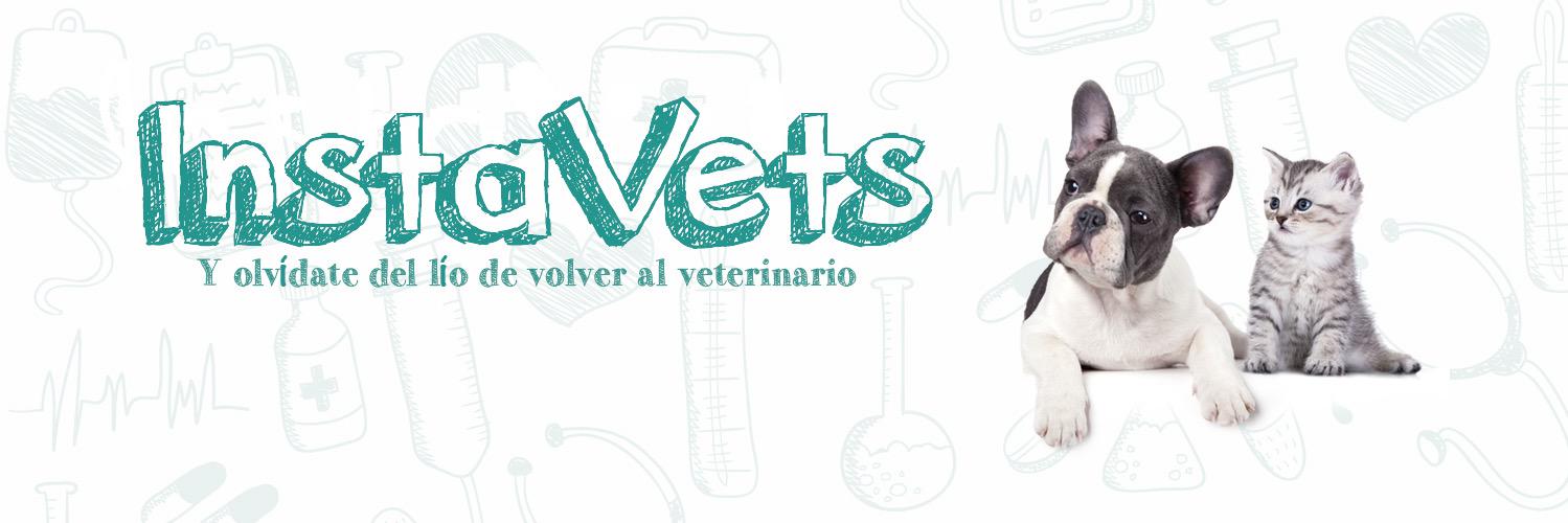 InstaVets's profile banner image