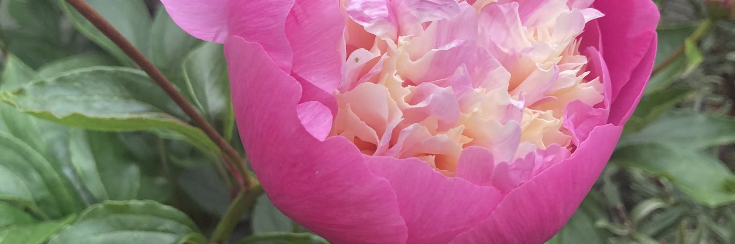 Natalie Bywaters banner