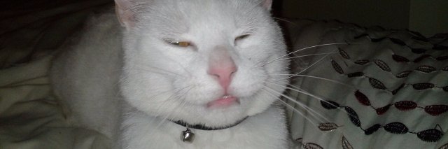 😍 Sharon Weaden 😍 banner