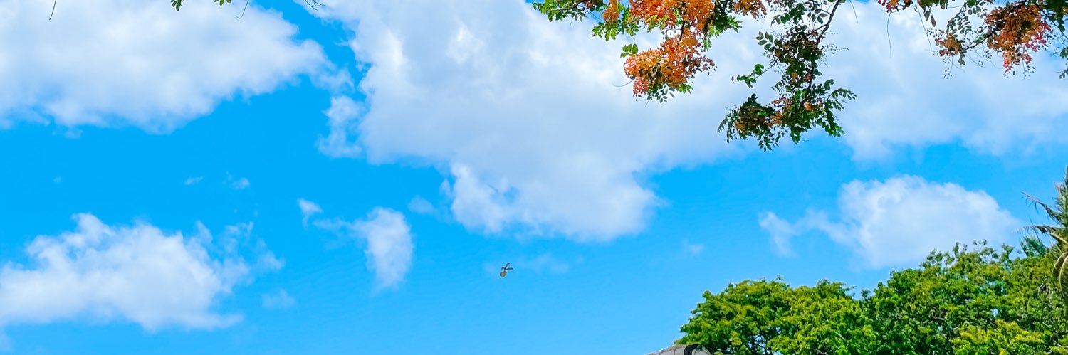 SLIM banner