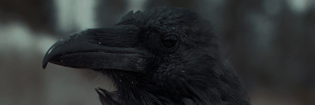 justinetheandal's profile banner image