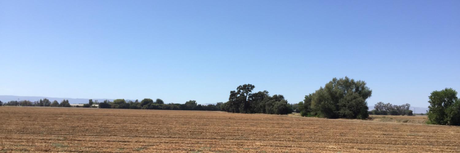vwtyler's profile banner image