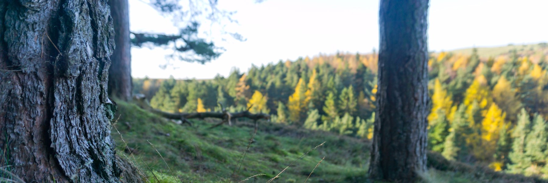 AlexJohnW's profile banner image