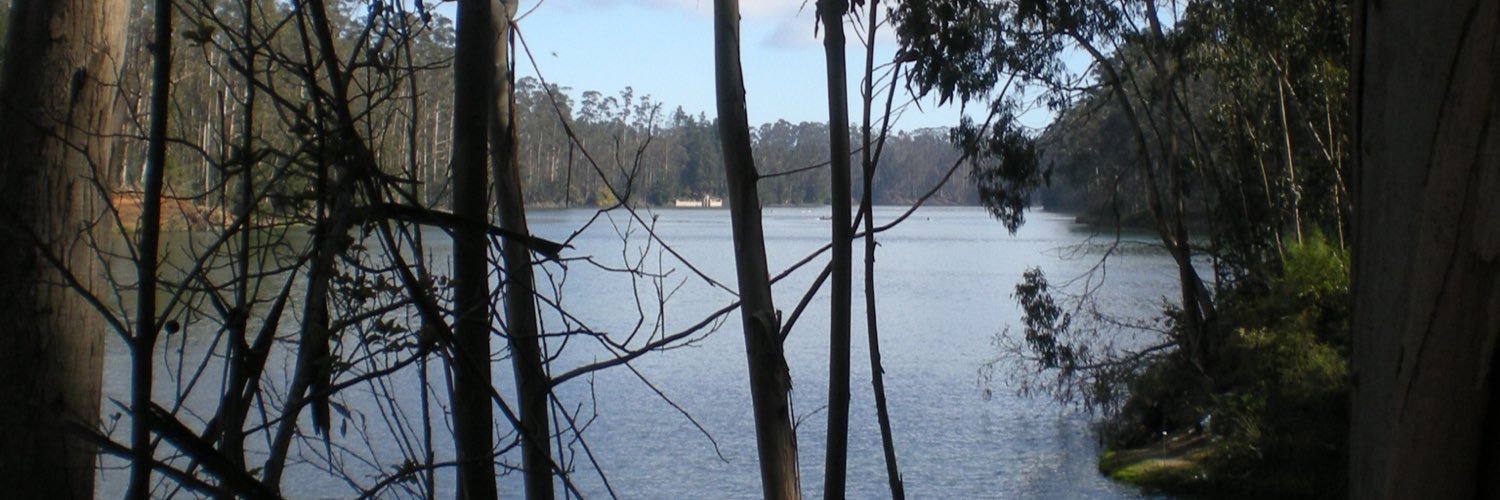 LuherG's profile banner image