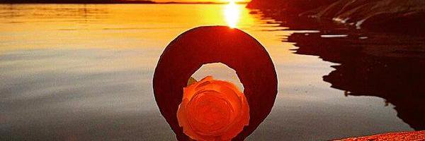 clara_straws's profile banner image