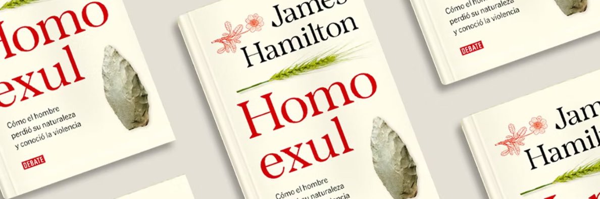 James Hamilton banner