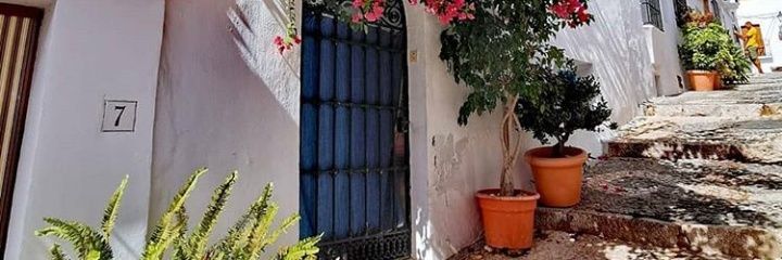 sofhia75's profile banner image