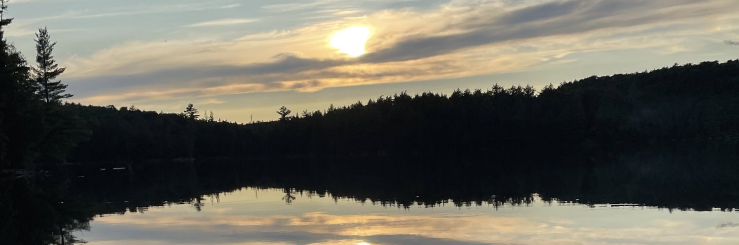 psychedjill's profile banner image