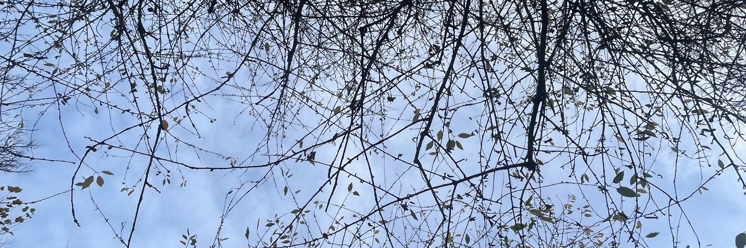 • banner
