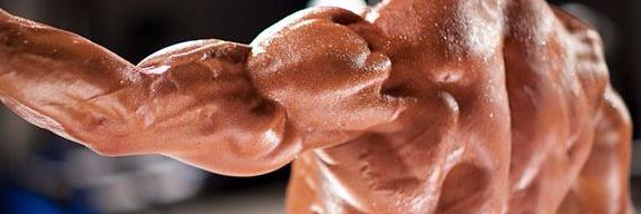 Daily Workouts banner