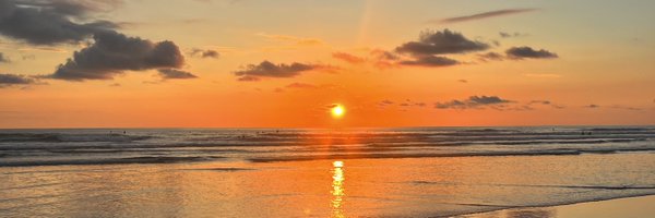 moma40 Profile Banner