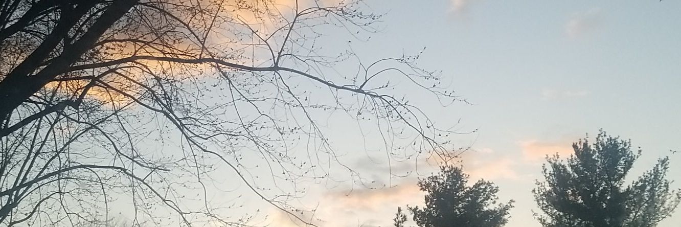 Nataleenbird's profile banner image