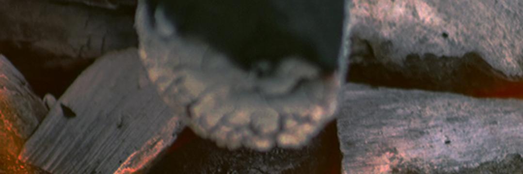 bbqjunkienl's profile banner image