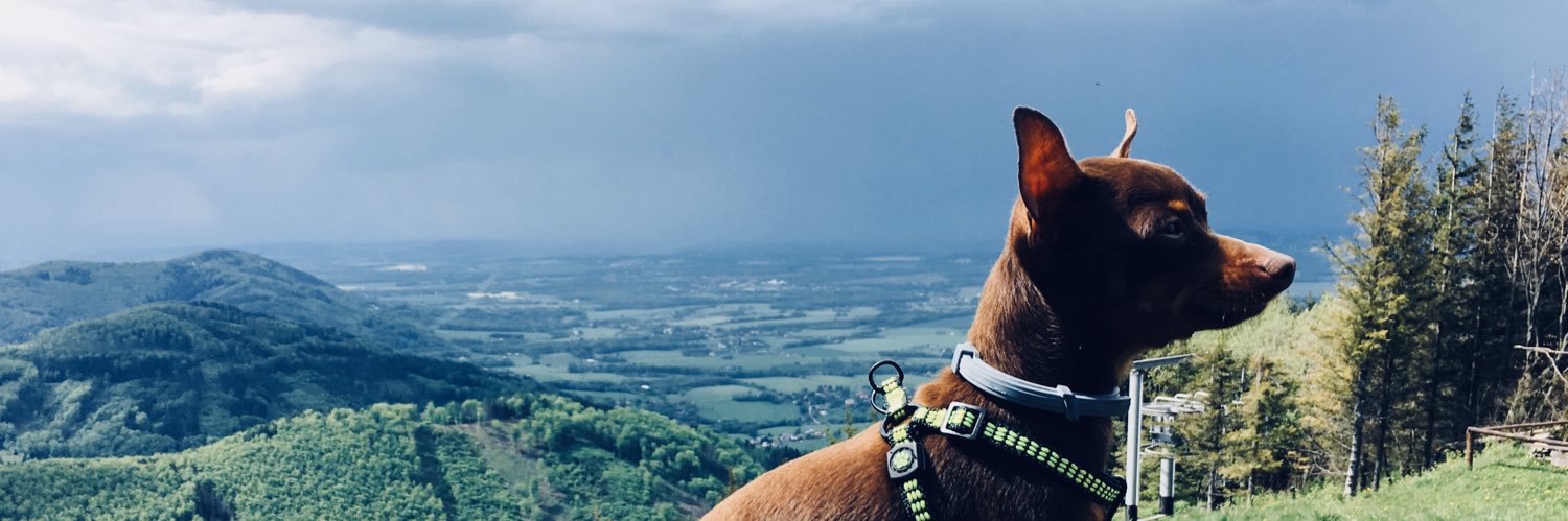 VSzkuta's profile banner image